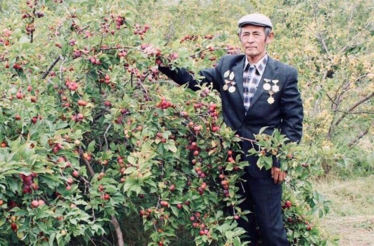 Alim jims news 6_6.jpg